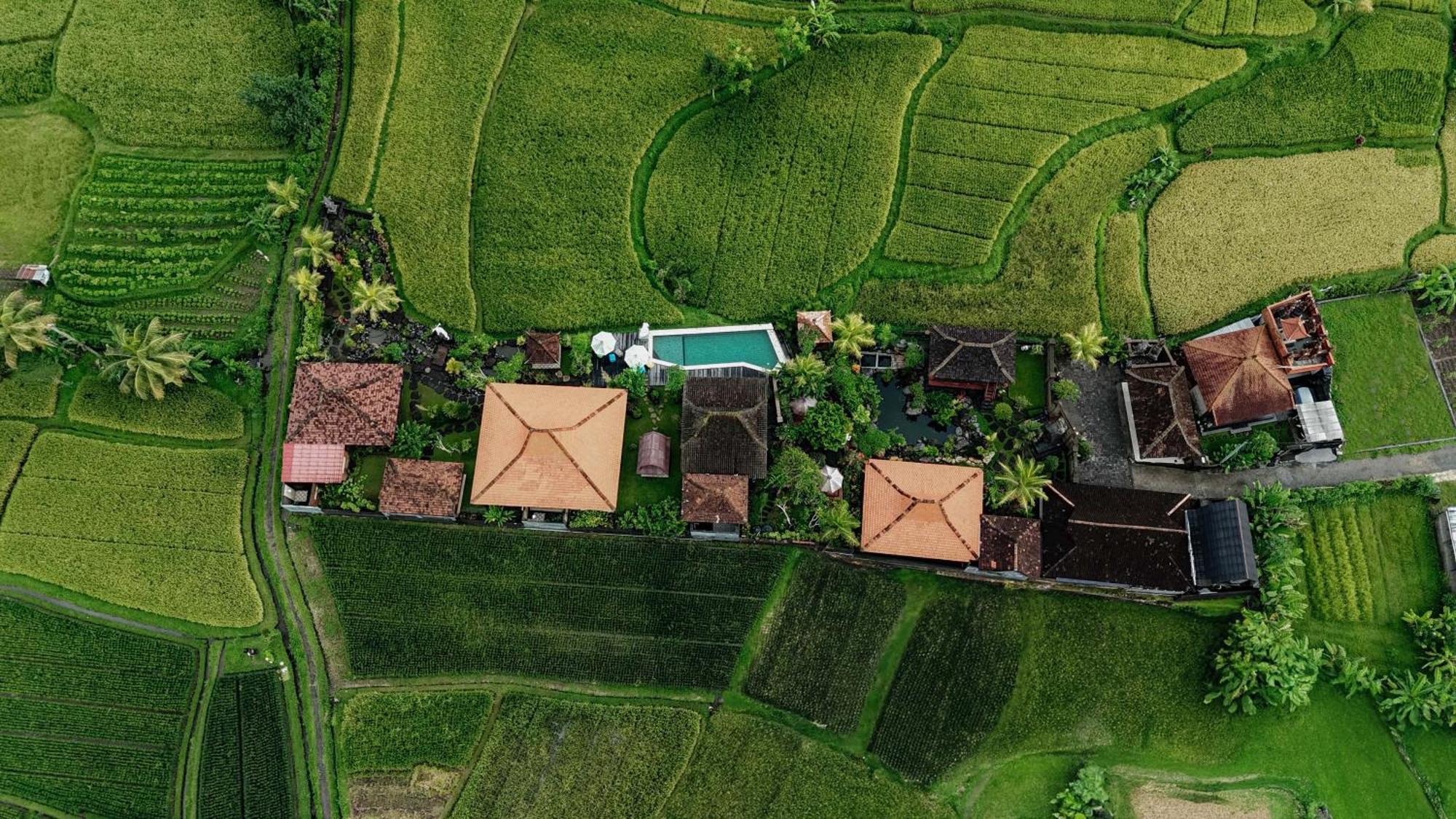 Billys Ayodya Villa Perean Bagian luar foto