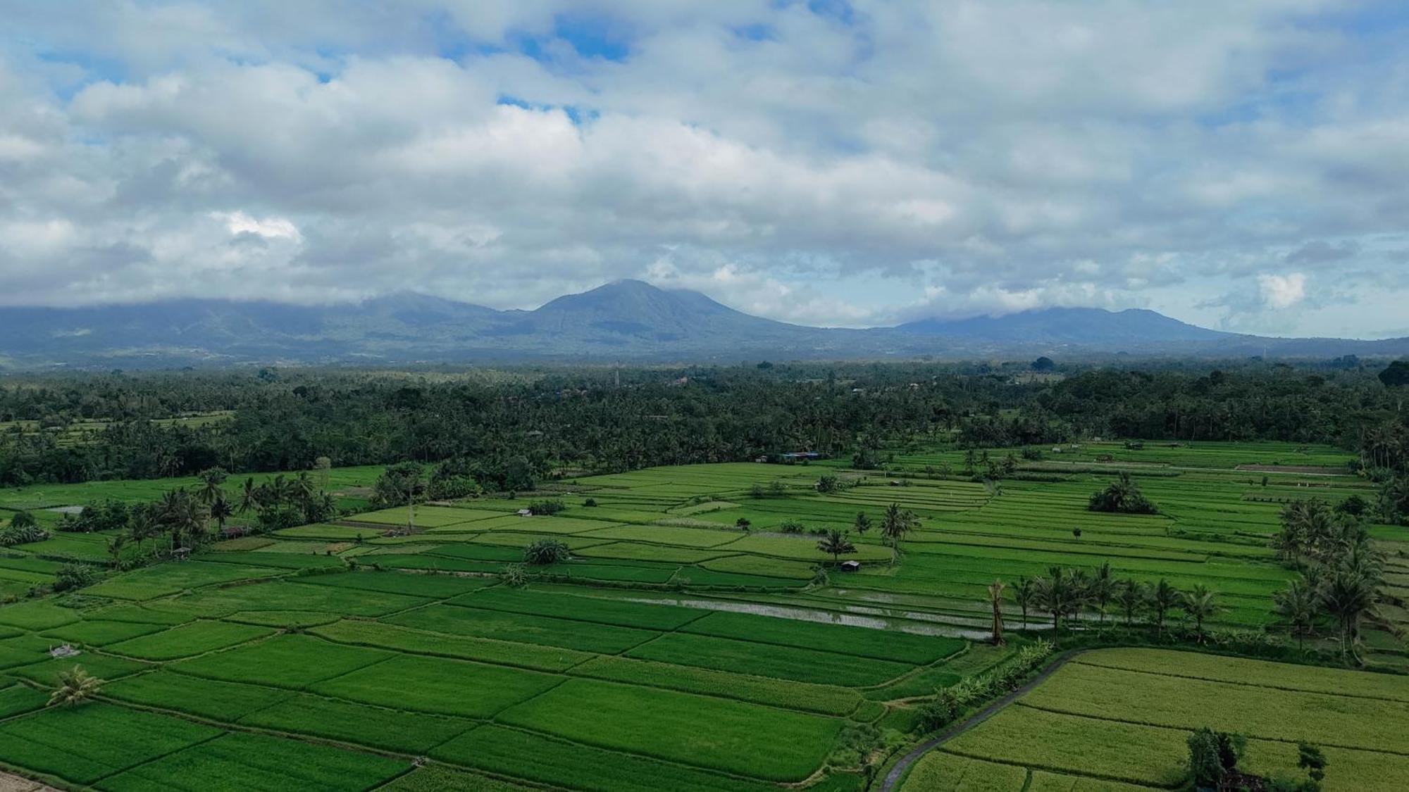 Billys Ayodya Villa Perean Bagian luar foto
